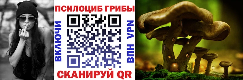 Псилоцибиновые грибы Cubensis  Спасск-Дальний 