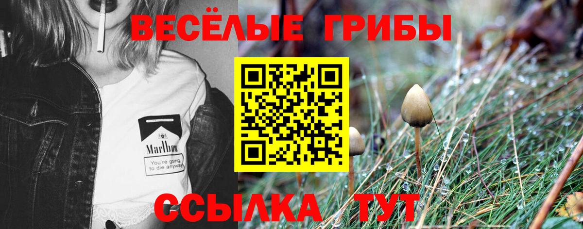 Галлюциногенные грибы мухоморы Спасск-Дальний